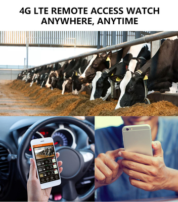 Faites l'expérience de performances inégalées avec la caméra de suivi 4G : la solution parfaite pour la surveillance de la faune.