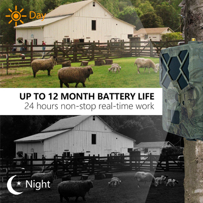 Faites l'expérience de performances inégalées avec la caméra de suivi 4G : la solution parfaite pour la surveillance de la faune.