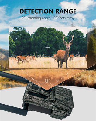 Caméra de trail 4G haute performance 36MP Photos HD et vidéos 2K Double antenne IP66 Caméra de chasse imperméable à l'eau avec une capacité de stockage de 512 Go