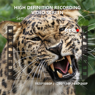Caméra cachée à double objectif KW696 OEM/ODM 0.4s déclencheur 1080P/30MP imperméable à l'eau IP67 100ft portée nocturne pour la chasse à la faune