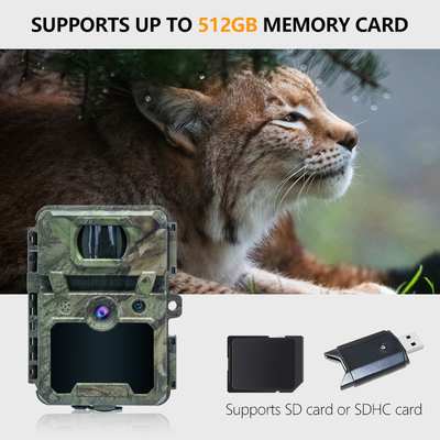 Caméra de chasse imperméable à l'eau IP66 de 30 MP camouflé avec capteur PIR et 48pcs LED IR sans éclairage