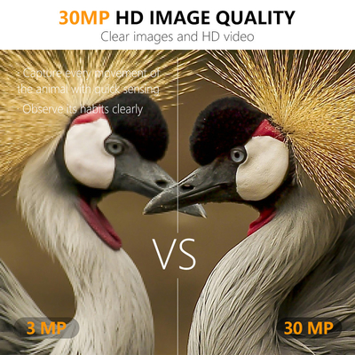Mini caméra sans fil de surveillance de la faune avec camouflage 30MP IP66 imperméable à l'eau et fonction PIR pour la chasse et la sécurité