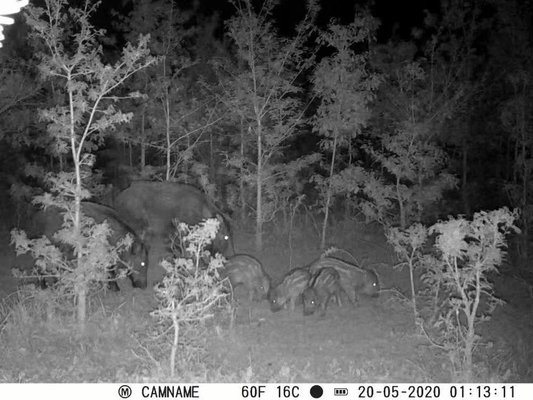 Caméra de piste ODM/OEM KW571 imperméable à l'eau IP67 Sensor CMOS sans éclat 30MP photo 1080P 0,25s vitesse de déclenchement vision nocturne