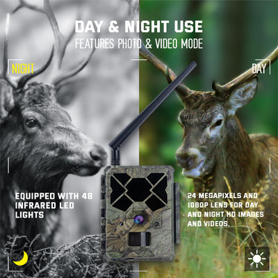 Caméra de chasse 4G télécommandée KW886 avec capacité vidéo 1080p et portée nocturne de 120 pieds
