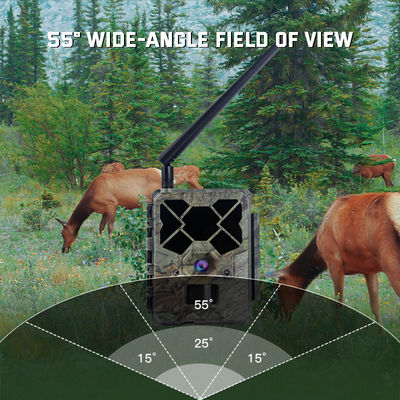Contrôle de l'application cellulaire 4G LTE déclencheur rapide pas de lumière longue durée de travail de chasse caméra de suivi accessoire
