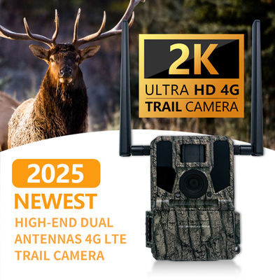 4G Trail Camera Photo Video 36MP Taille de l'image 1-9 Capture Numéro 5s-60s Longueur de la vidéo