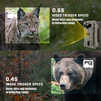 Jeu des caméras 4K de chasse de 32MP Dual Lens HD aucune caméra de faune de lueur