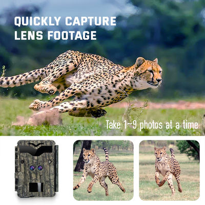 Jeu des caméras 4K de chasse de 32MP Dual Lens HD aucune caméra de faune de lueur