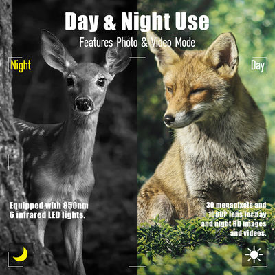 Caméra de faune à haute résolution de capteur 13MP Cmos Caméra de piste à double objectif