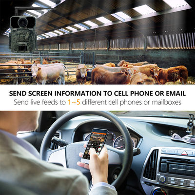 Aucune caméra Ip65 imperméable 4g 0.25s GSM MMS de traînée de la lueur 0.26s 4G