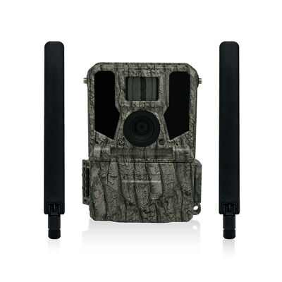 La caméra 4G Trail offre des options de montage polyvalentes et un boîtier résistant aux intempéries parfait pour les tâches de surveillance en extérieur