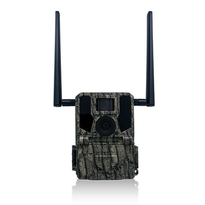 La caméra 4G Trail offre des options de montage polyvalentes et un boîtier résistant aux intempéries parfait pour les tâches de surveillance en extérieur