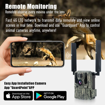 Caméra de chasse 4G avec capacité de visualisation à distance et boîtier robuste conçus pour capturer des images détaillées dans des endroits reculés