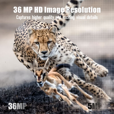 Caméra de chasse 4G avec capacité de visualisation à distance et boîtier robuste conçus pour capturer des images détaillées dans des endroits reculés