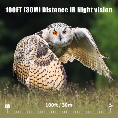 Caméra de chasse 4G avec capacité de visualisation à distance et boîtier robuste conçus pour capturer des images détaillées dans des endroits reculés
