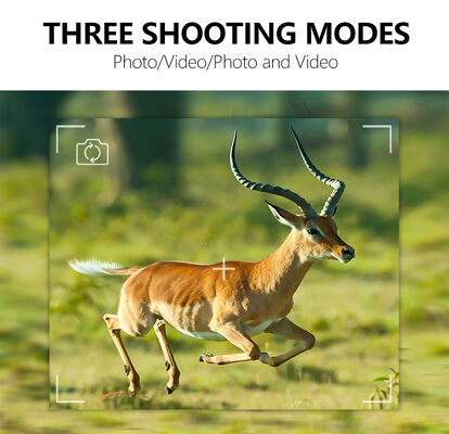 Caméra de chasse à vision nocturne offrant un temps de réponse ultra rapide de moins de 0,25 seconde, conçue pour le suivi des animaux