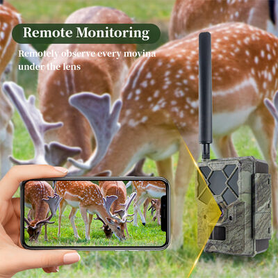 Caméra de jeu cellulaire conçue pour fonctionner dans des conditions météorologiques extrêmes avec une réception de signal et une efficacité énergétique améliorées