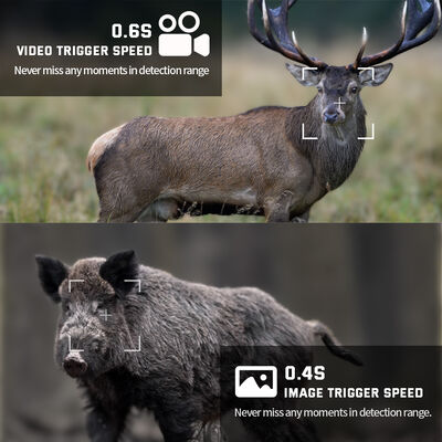 Des caméras de chasse HD durables offrant une longue durée de vie de la batterie, une vision nocturne infrarouge et une détection de mouvement pour la surveillance extérieure