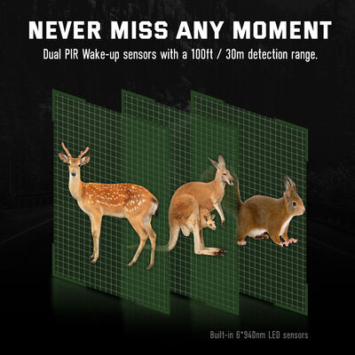 Caméras de chasse HD compactes offrant une image haute résolution et un enregistrement activé par mouvement pour la surveillance en plein air