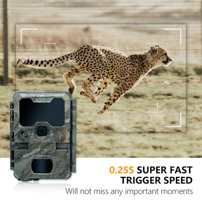 Caméra de chasse LCD de 2 pouces de 110 × 97 × 66 mm, adaptée à l'observation professionnelle des animaux en plein air