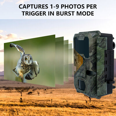 Caméra de chasse LCD de 2 pouces de 110 × 97 × 66 mm, adaptée à l'observation professionnelle des animaux en plein air