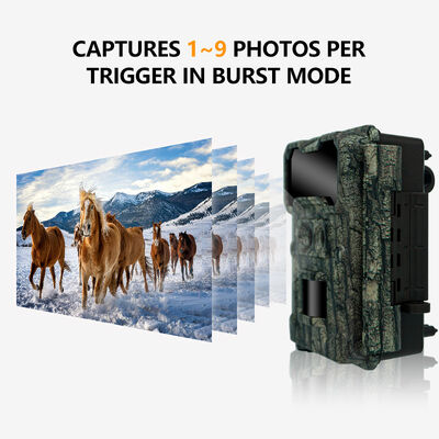 8 piles AA caméra de chasse intégrée USB 2 0 connectivité fournissant de l'énergie et un accès rapide aux données pour la surveillance en extérieur