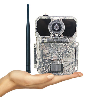Caméra anti-vol à distance de traînée de chasse de nuage de vision nocturne de l'appli LTE GPS de Keepguard 4,0