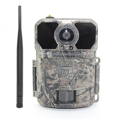 Les capteurs de 30MP Deer Trail Camera Megapixel imperméabilisent IP65 avec la carte de SDHC