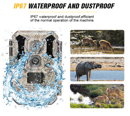 Caméra infrarouge 30MP 1080P IP66 de chasse de faune de LED