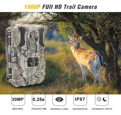 Caméra infrarouge 30MP 1080P IP66 de chasse de faune de LED