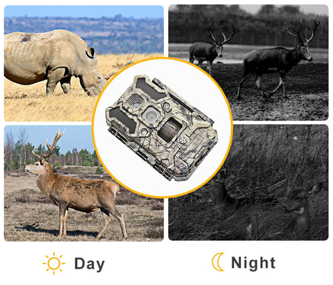 Caméra infrarouge 30MP 1080P IP66 de chasse de faune de LED