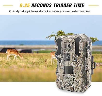 Caméra infrarouge 30MP 1080P IP66 de chasse de faune de LED