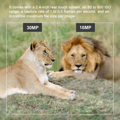 Caméra de piste de chasse extérieure WIFI avec application mobile pour écran de visualisation