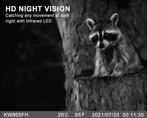 Caméra de piste de chasse extérieure WIFI avec application mobile pour écran de visualisation