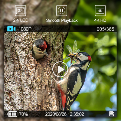 Caméra de piste de chasse extérieure WIFI avec application mobile pour écran de visualisation