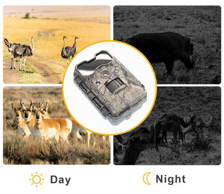 Caméra de la faune activée par mouvement