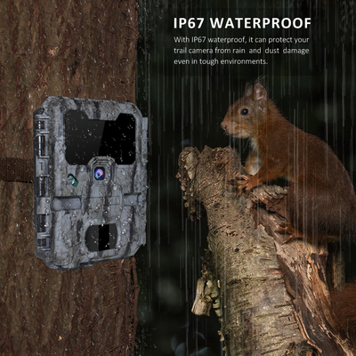 Caméra cachée WIFI KW865 pour caméra de chasse sans fil extérieure qui envoie des images à votre téléphone
