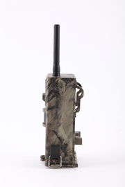 Traînée Camera12MP HD Wireless Hunting Camera de la formation d'images thermiques MMS de GSM GPRS