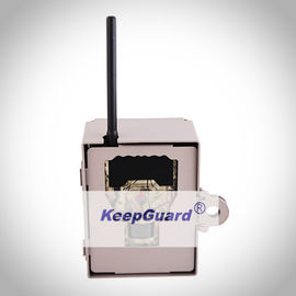 Taille extérieure d'image de KG870 Digital Live Wildlife Cameras 12MP 4000X3000