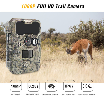 Caméra extérieure 20MP IP67 de faune d'infrarouge de la caméra KG790 de cerfs communs