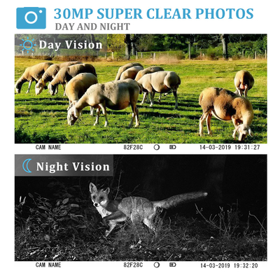 Caméra de chasse extérieure de faune de traînée de la caméra 30Mp 1080P avec le ftp de smtp de MMS
