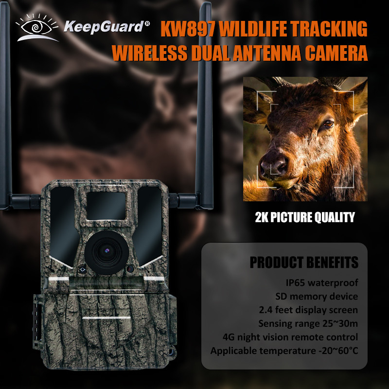 Caméra de trail sans fil 4G camouflage caché KW897 avec double antenne vision nocturne 36MP vidéo 2K pour la chasse au cerf