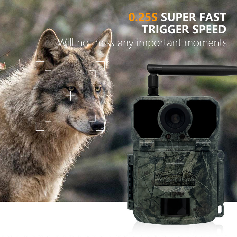 Caméra de chasse 4G KW895 avec APP 2K FHD Vidéo image 30MP imperméable à l'eau IP67 jusqu'à 512 Go de stockage pour la recherche sur la faune