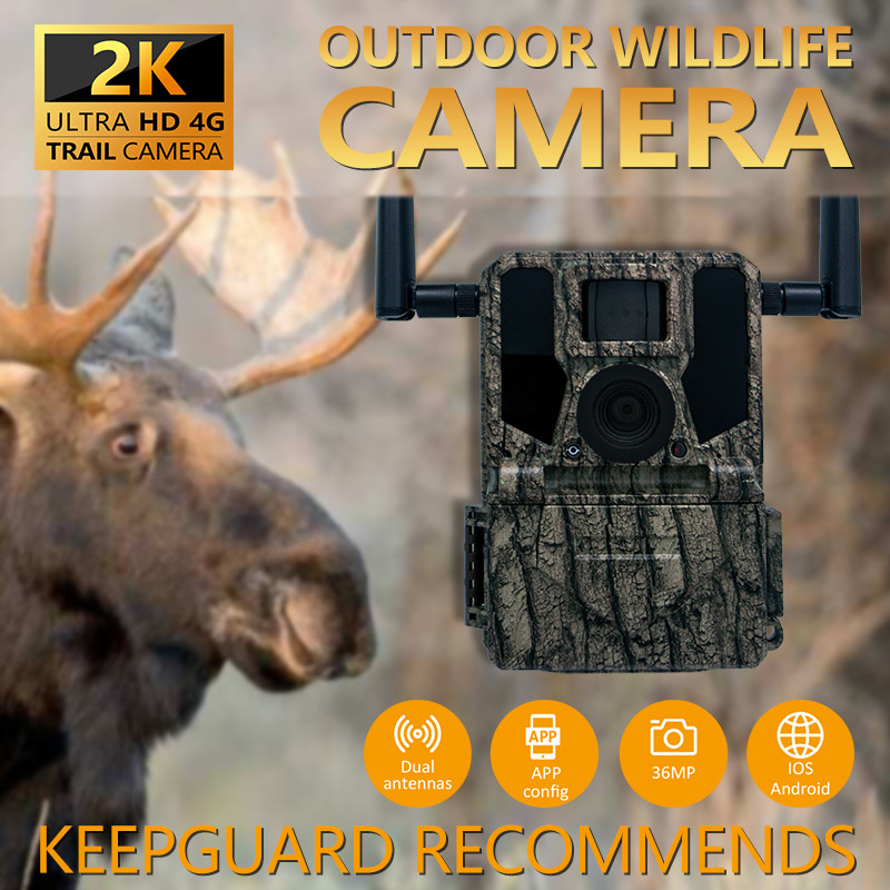 GMS haut de gamme pour 4G Caméra de chasse KW897 à double antenne 100 pieds de portée de nuit vision nocturne 36MP vidéo 2K pour la recherche sur la faune