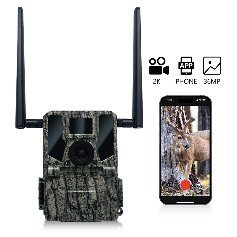 Caméra de chasse sans fil cellulaire 4G KW897 intégrée à une carte SIM 36MP capture vidéo 2K à 30 images par seconde avec deux antennes pour la faune