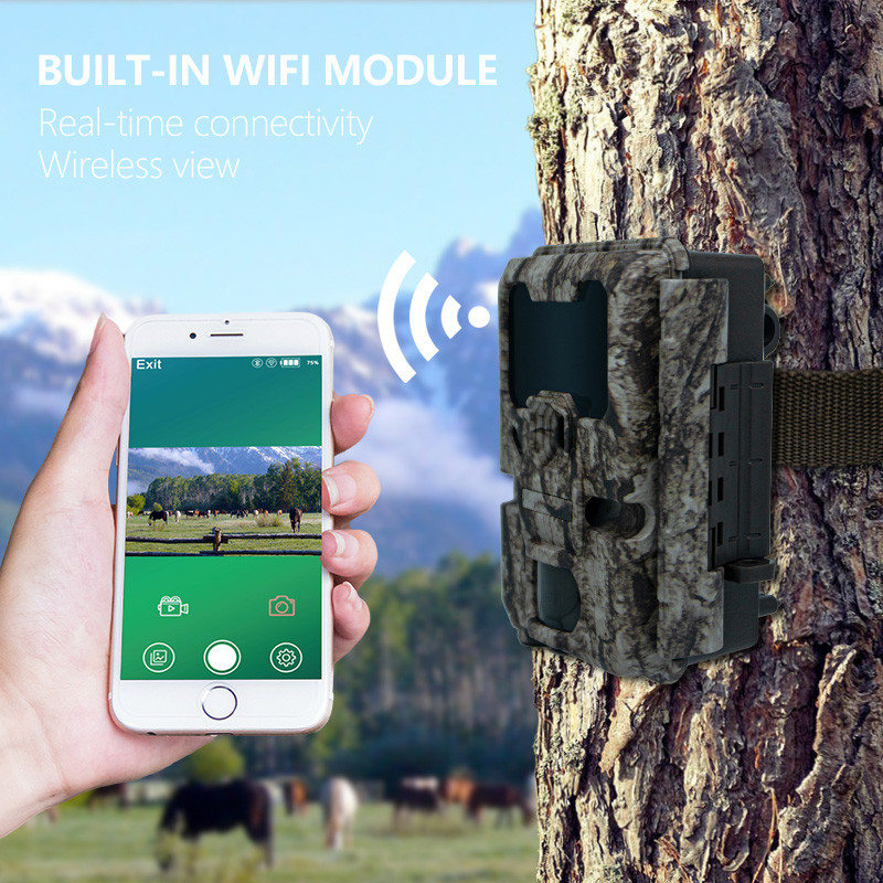 Caméra de chasse sur sentier 20MP 1080P Caméra de faune imperméable IP67 Caméra de jeu et d'essai jusqu'à 512 Go