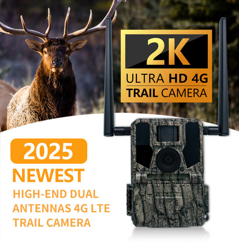 4G Trail Camera Photo Video 36MP Taille de l'image 1-9 Capture Numéro 5s-60s Longueur de la vidéo