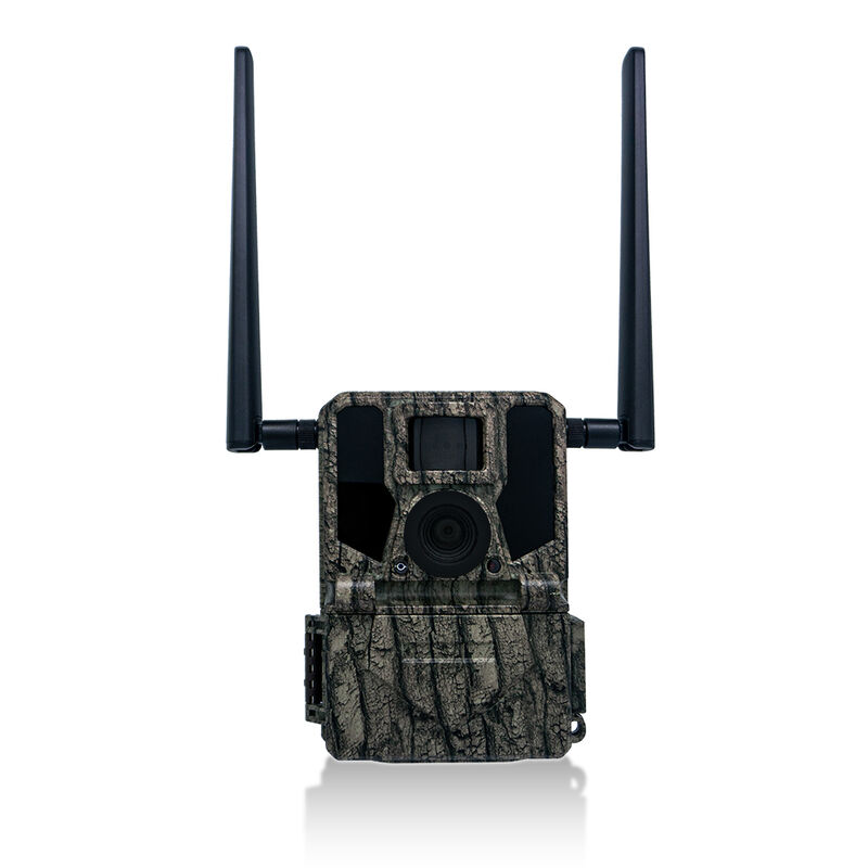 La caméra 4G Trail offre des options de montage polyvalentes et un boîtier résistant aux intempéries parfait pour les tâches de surveillance en extérieur